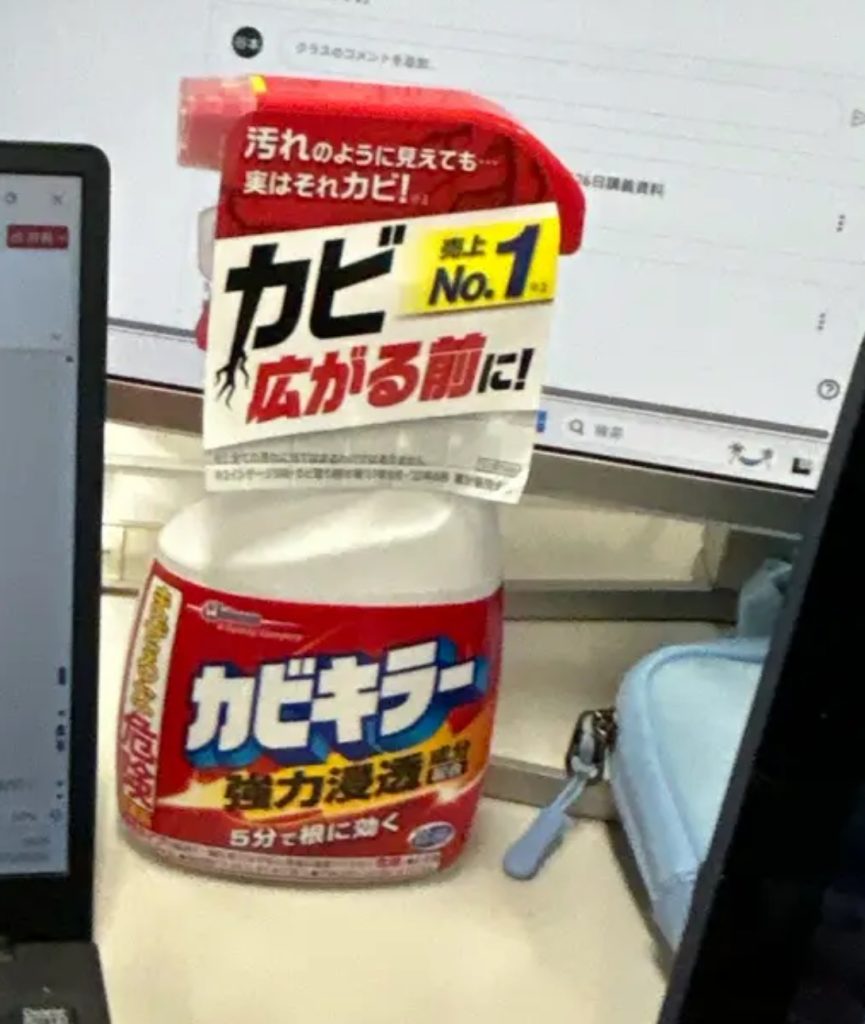 アイスの写真なし、すみません